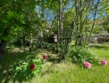 photo annonce immobilière, morvan