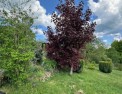 photo annonce immobilière, morvan