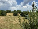 photo annonce immobilière, morvan