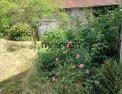 photo annonce immobilière, morvan